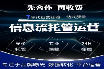 SEO策略在电商平台的成功应用案例